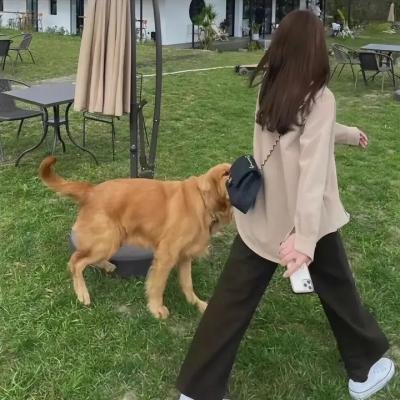 龙在边缘国语